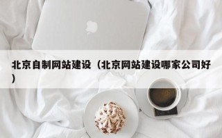 南县北京自制网站建设（北京网站建设哪家公司好）